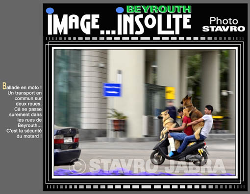 photo stavro - Ballade en moto dans les rues de Beyrouth de deux motards et deux chiens