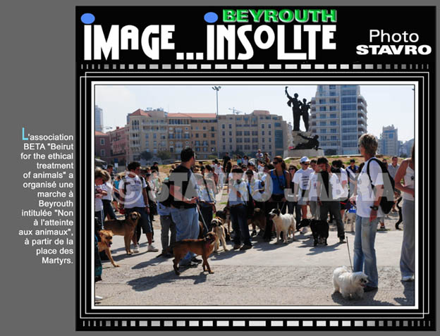 photo stavro - L'association BETA (Beirut for the ethical treatment of animals) organise une marche  Beyrouth intitule 