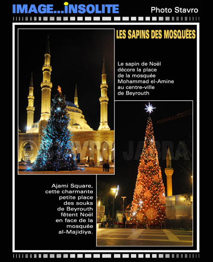 photo stavro - Les sapins des mosques  Beyrouth
