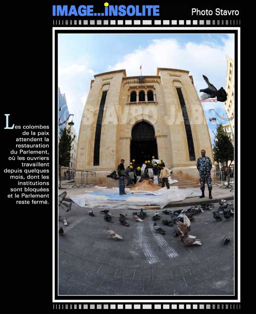 photo stavro - Les colombes de la paix attendent la restauration du Parlement au Liban